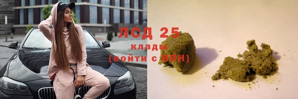 ГАЛЛЮЦИНОГЕННЫЕ ГРИБЫ Ступино