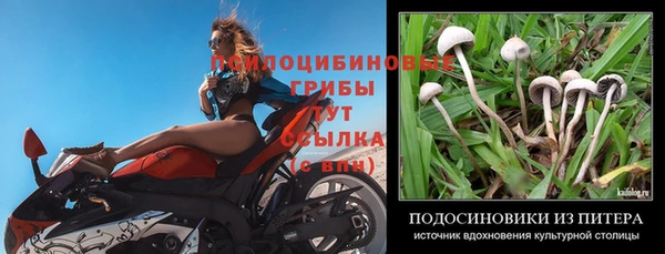 герыч Струнино