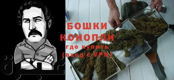 ГАЛЛЮЦИНОГЕННЫЕ ГРИБЫ Ступино
