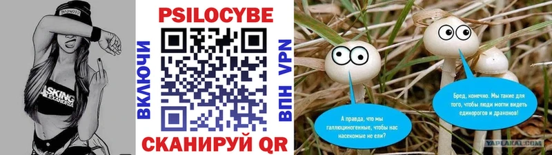 Галлюциногенные грибы мицелий  Купить закладки  Партизанск 